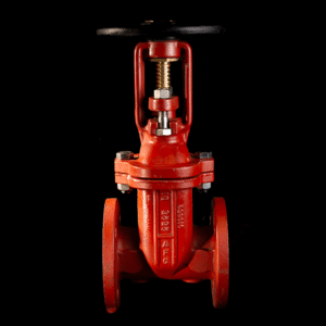 Válvula Compuerta 05-8Y Bridada